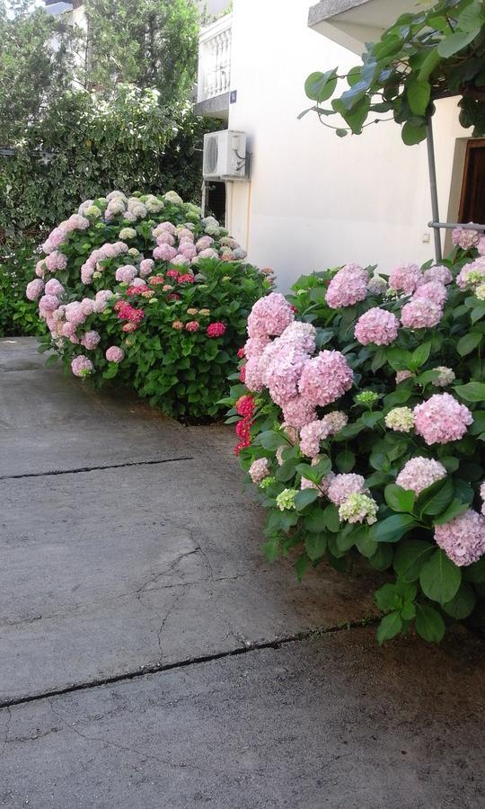Apartments Ratkovic Tivat Luaran gambar